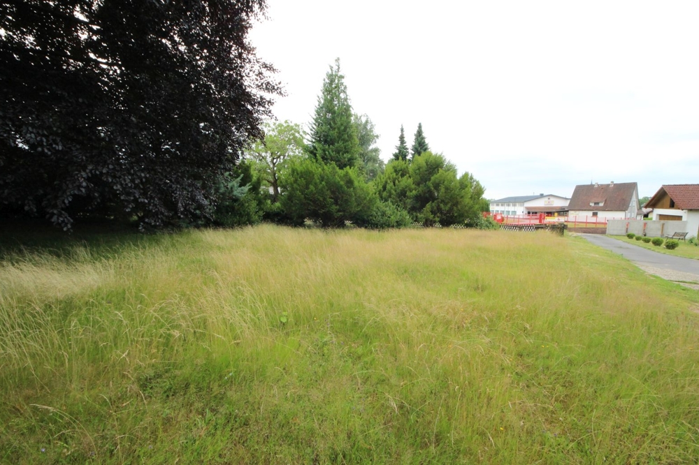Baugrundstück ohne Bebauungspflicht... (7)