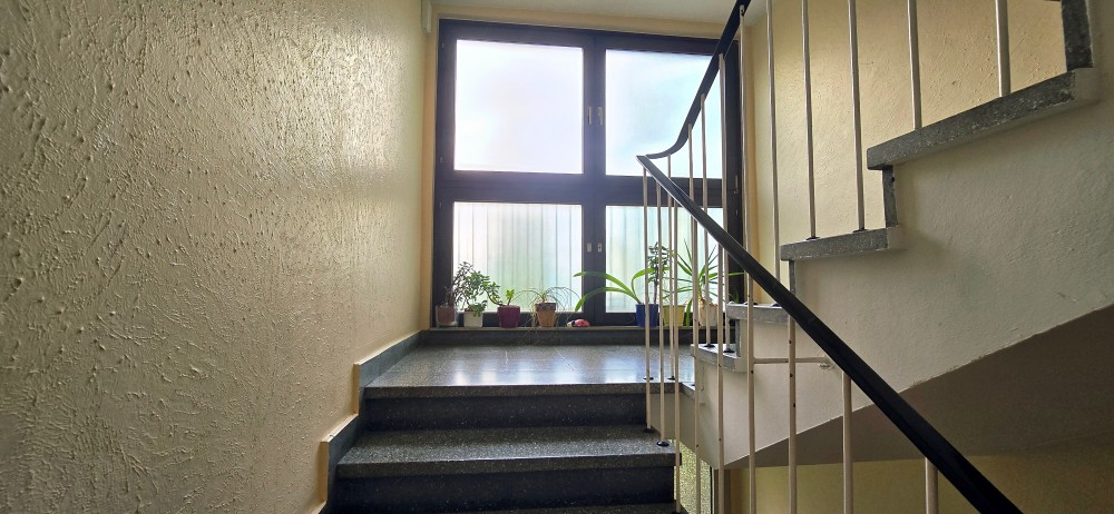 Charmante 1-Zimmer-Wohnung in Frankfurt-Rödelheim – gute Lage, nah an der Nidda