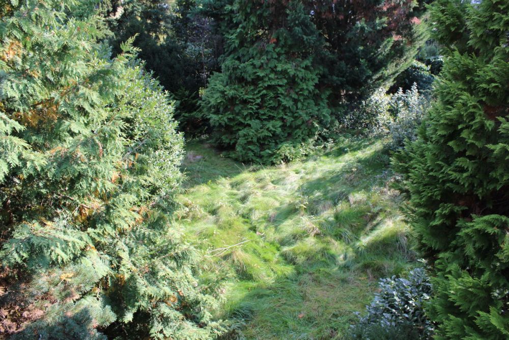 Hofheim-Marxheim
Wunderbares Abrissgrundstück in Toplage