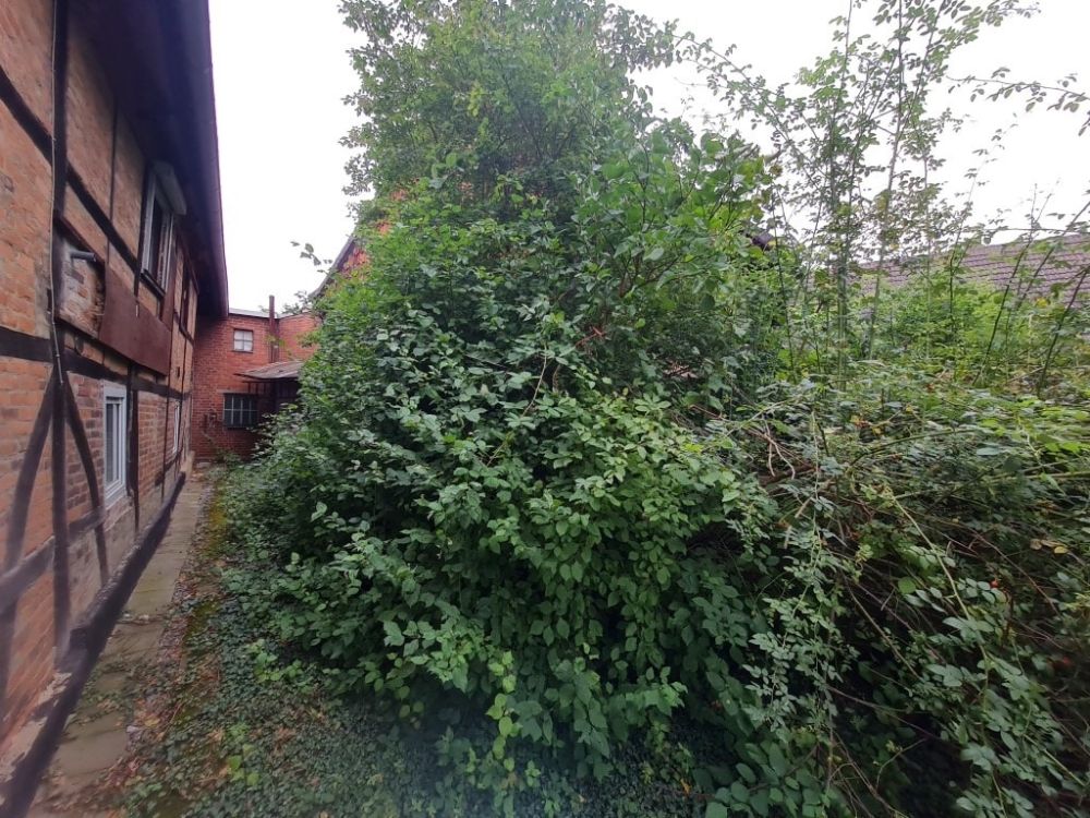 Garten unterer Teil