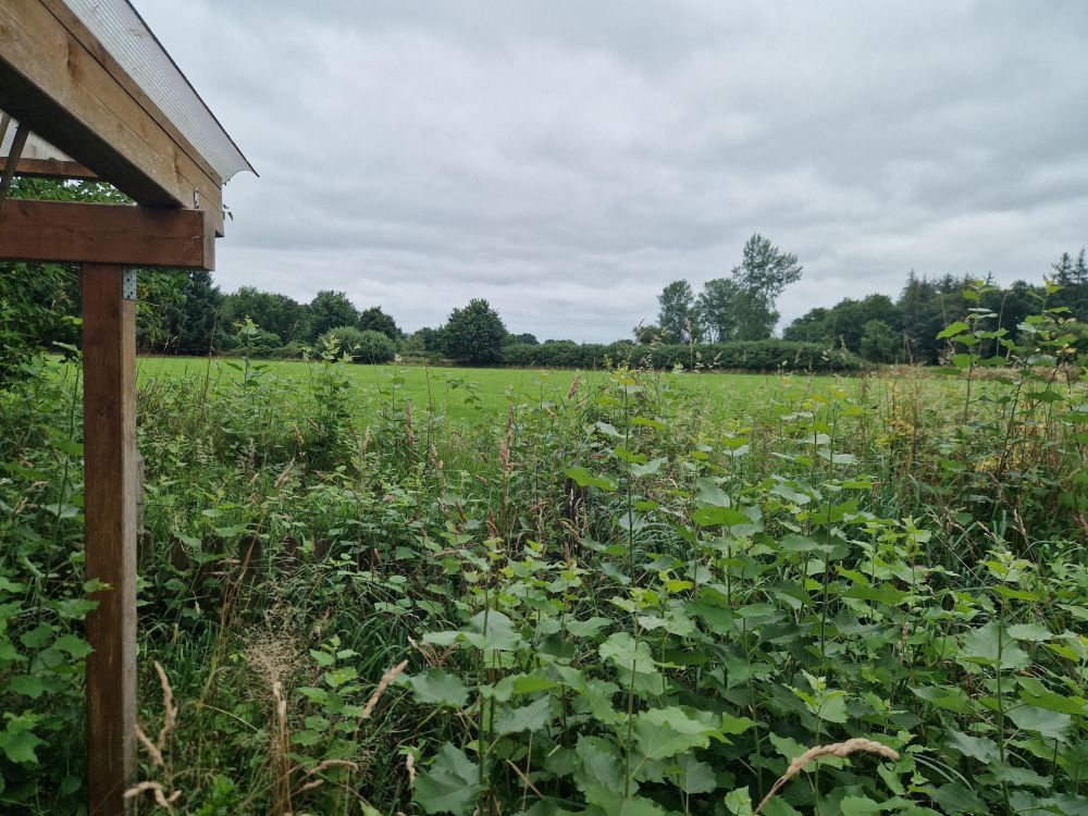 Aus Alt mach Neu - Einfamilienhaus sucht handwerklich geschickte Visionäre
