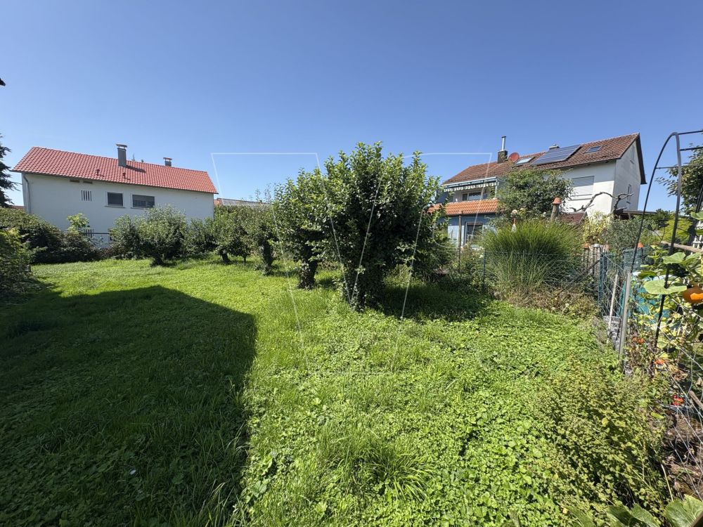 Garten hinter dem Haus