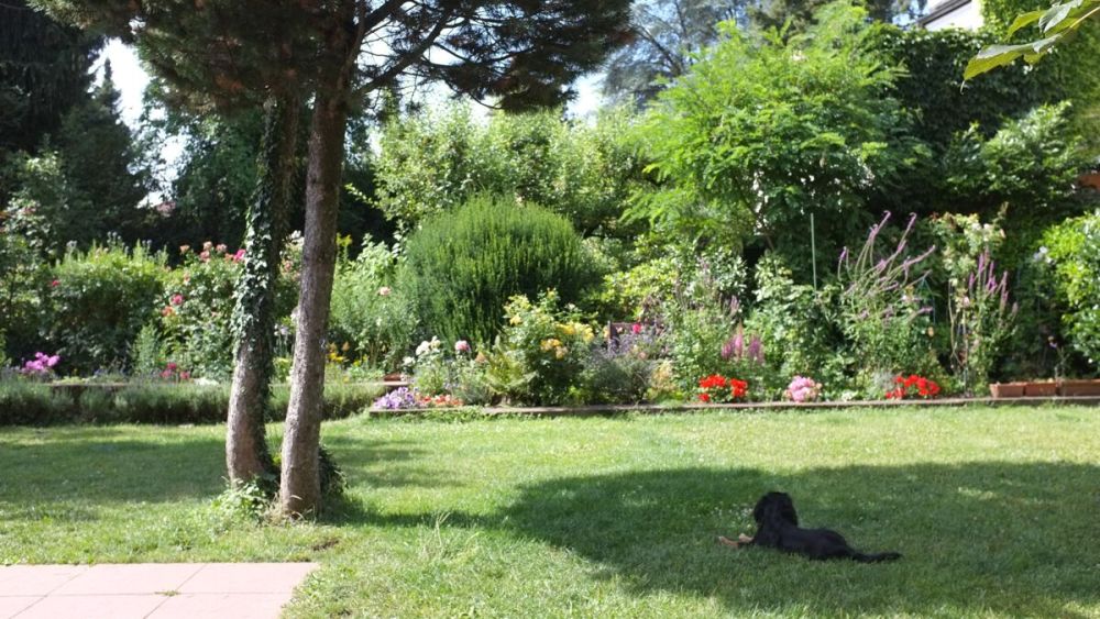 Stilvolle Altbau-Villa in Citylage mit drei Wohneinheiten – klassischer Charme trifft auf moderne Wohnqualität