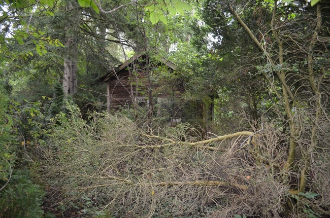 außergewöhnliches Grundstück mit Altbestand