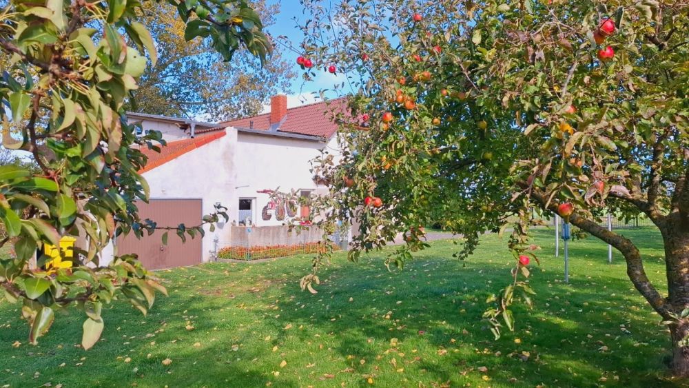 Kühlungsborn Ost auf großzügigem Grundstück