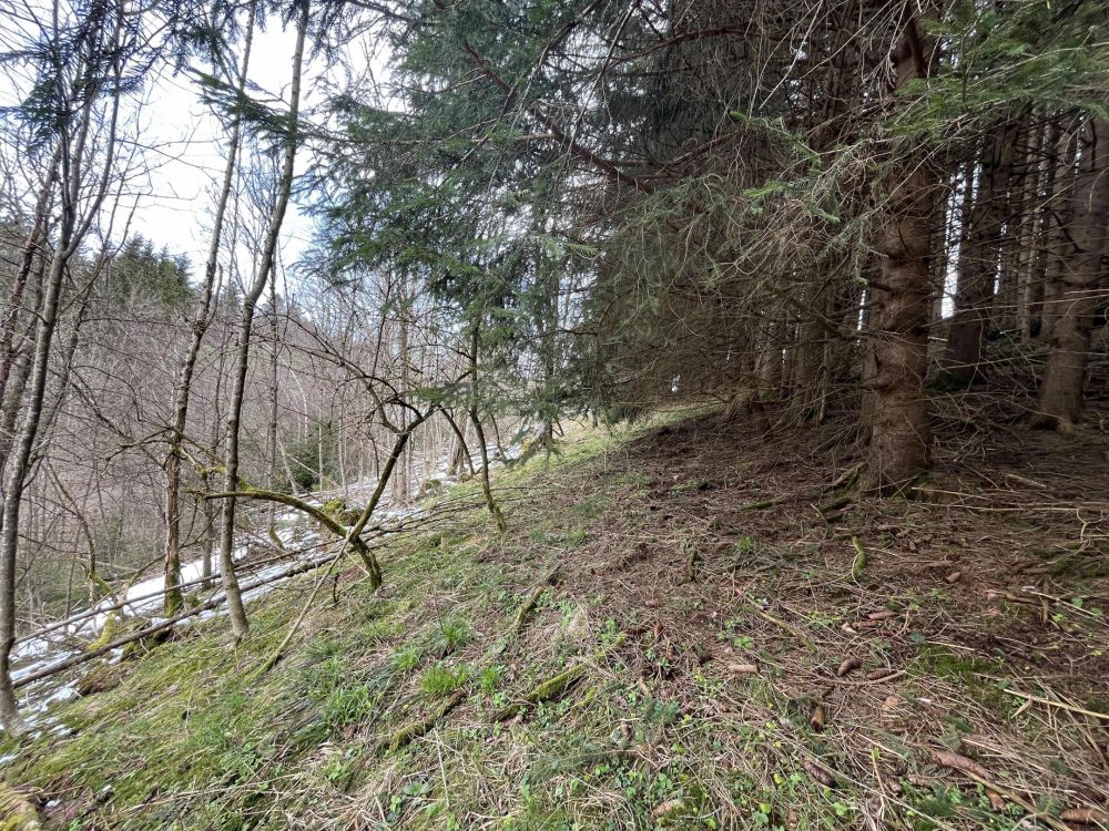 HOLZ MACHT 2x WARM!!!
Waldgrundstück in Wertach