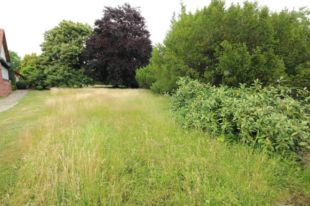Baugrundstück ohne Bebauungspflicht... (8)