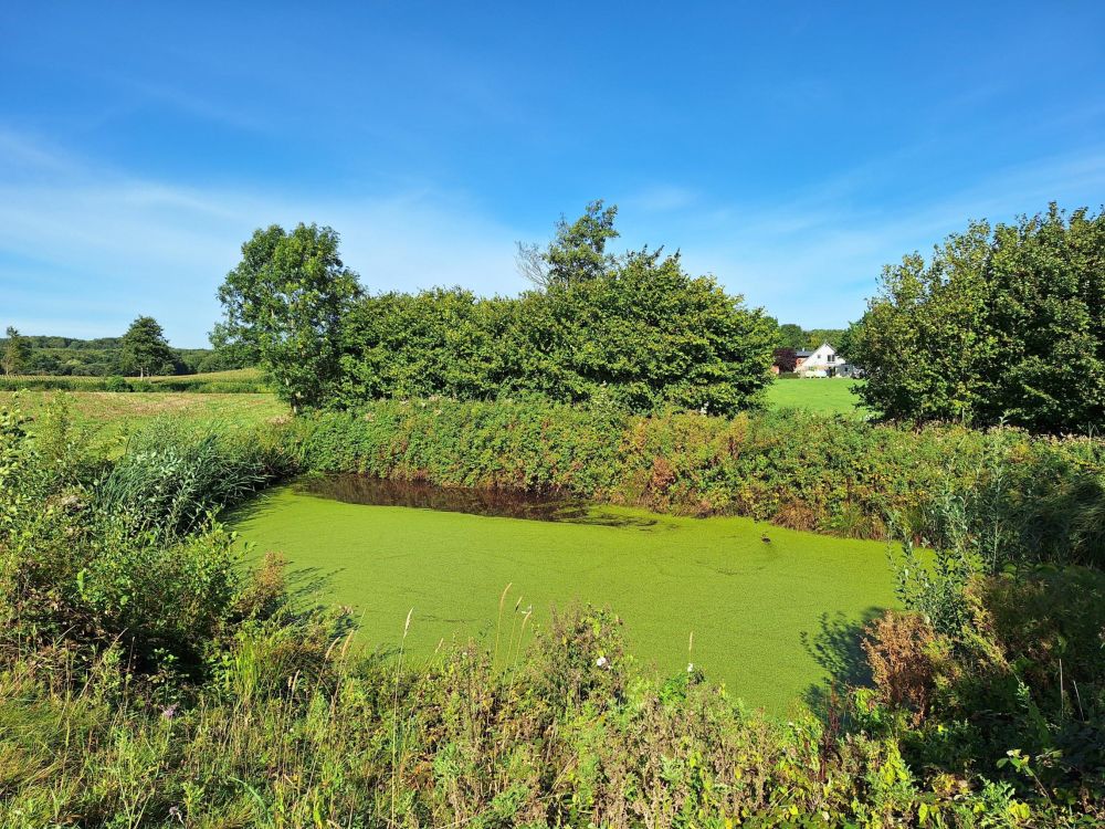 Idyllisch gelegenes Einfamilienhaus mit Einliegerwohnung in Feldrandlage