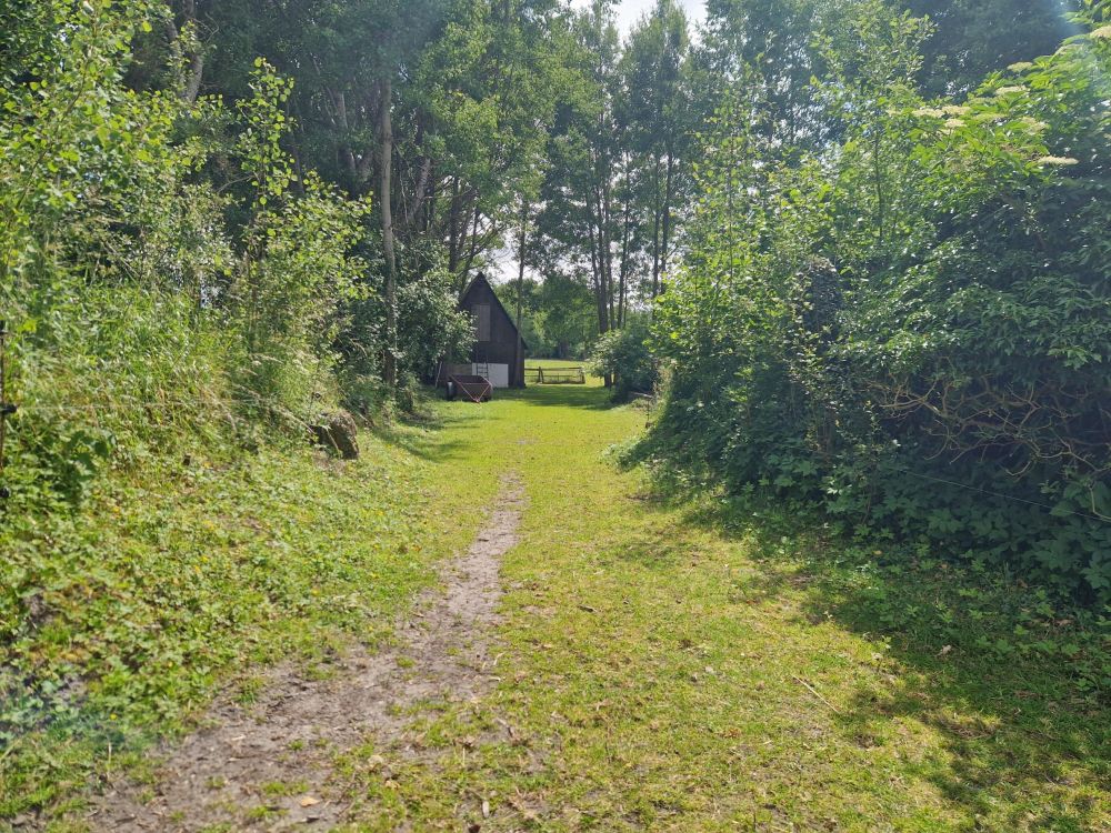 Aus Alt mach Neu - Einfamilienhaus sucht handwerklich geschickte Visionäre