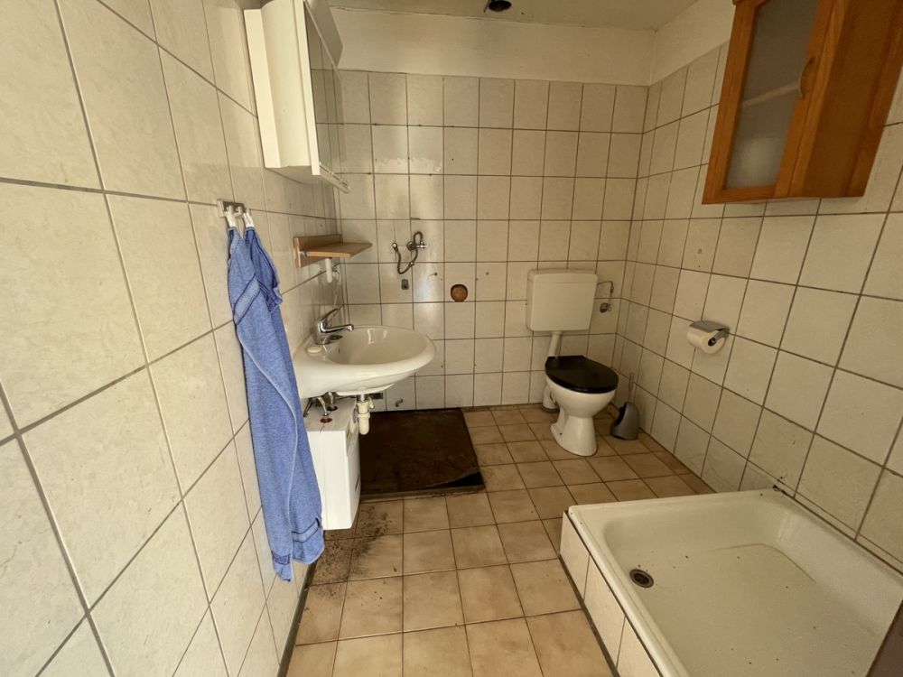 Ruhig gelegenes Baugrundstück mit Halle und riesigen Gartengrundstück!