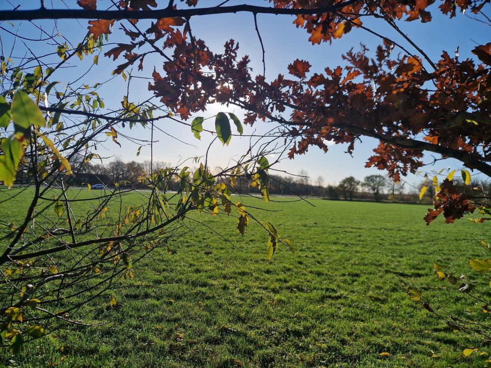 Blick aus dem Garten über die grünen, unverbauten Felder