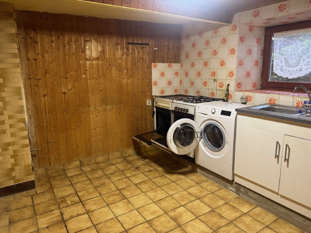 Leben im Nationalpark Hunsrück-Hochwald