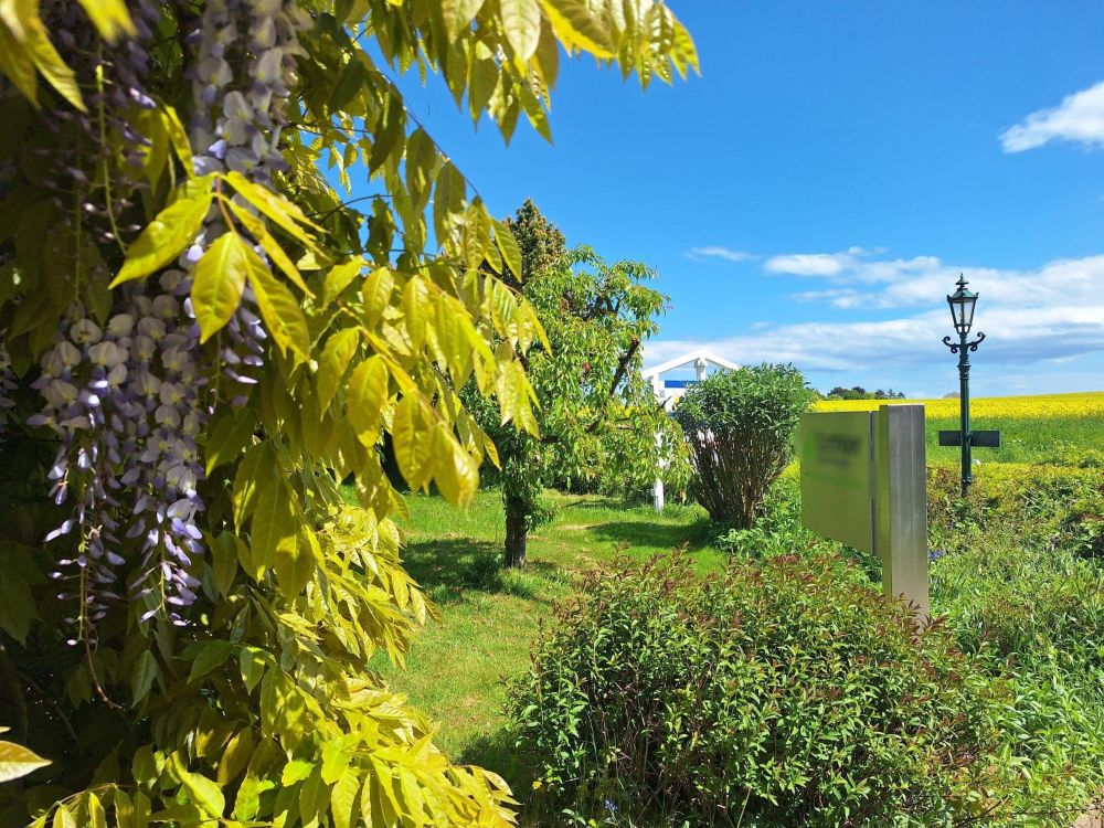 Zauberhaftes, naturnahes Wohnen und / oder Arbeiten unter Reet an der Ostsee