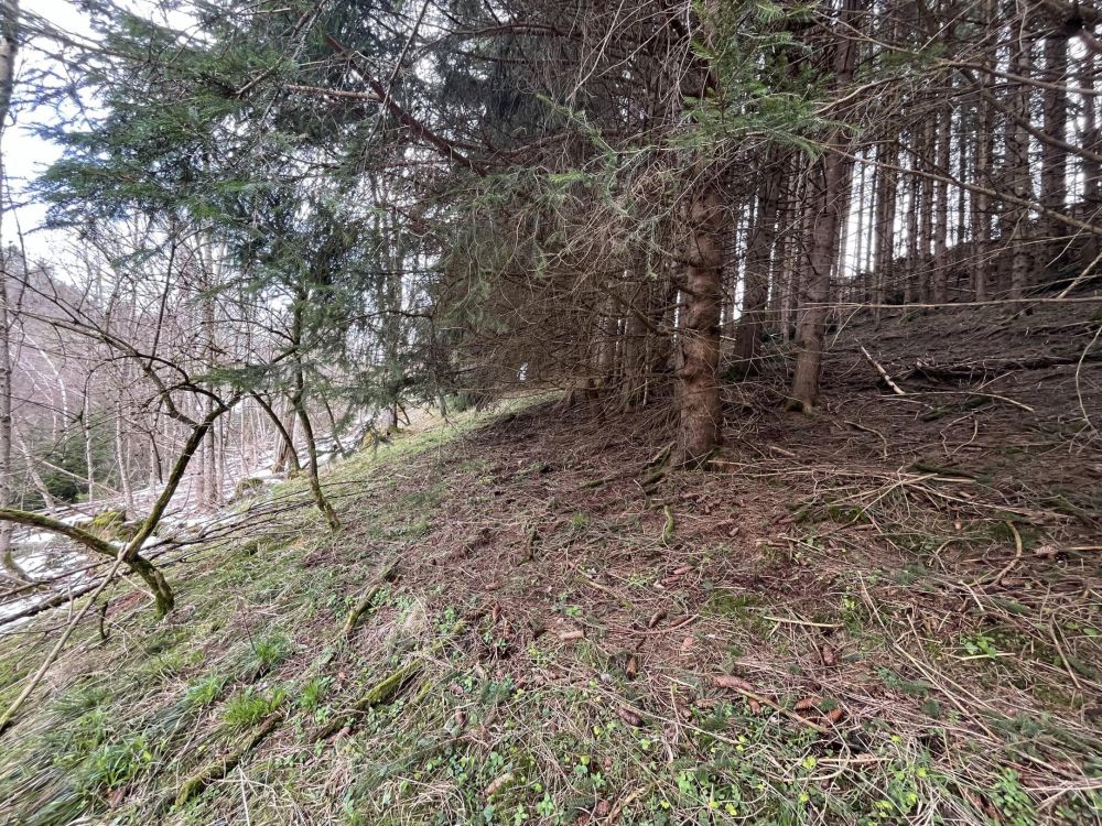 HOLZ MACHT 2x WARM!!!
Waldgrundstück in Wertach
