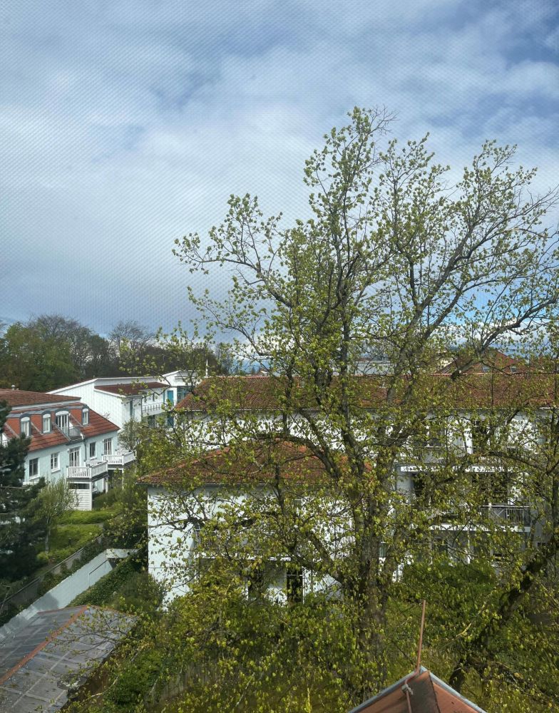 Dachgeschosswohnung in der Strandstraße