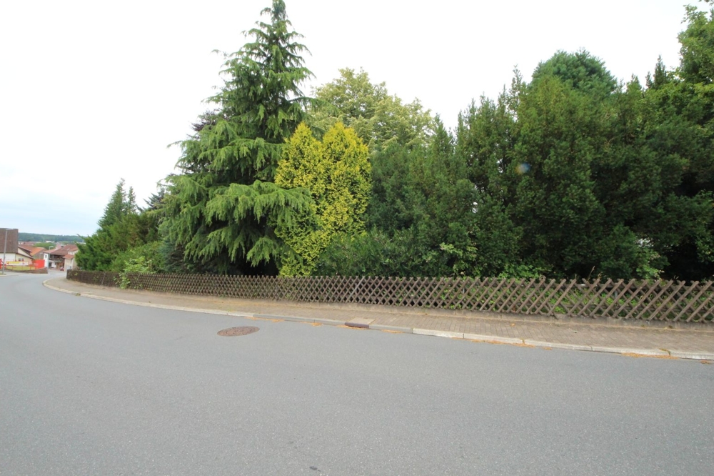 Baugrundstück ohne Bebauungspflicht... (9)