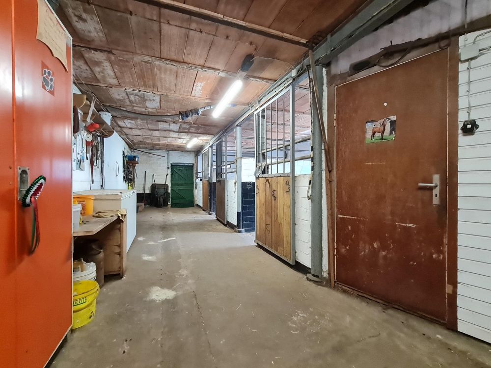 Der Traum vom eigenen Resthof: viel Platz, Pferdestallungen & 3-Mietwohnungen direkt an der Treene