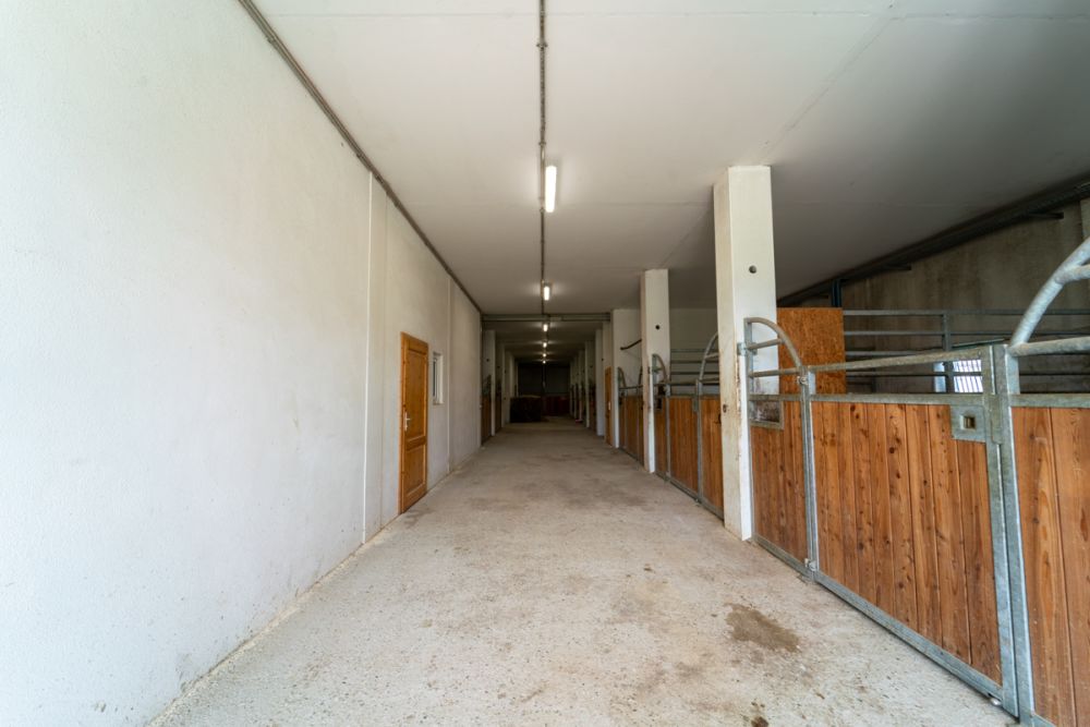 Traumhafte Reitanlage in idyllischer Naturlage – Perfekt für Westernsport-Enthusiasten!