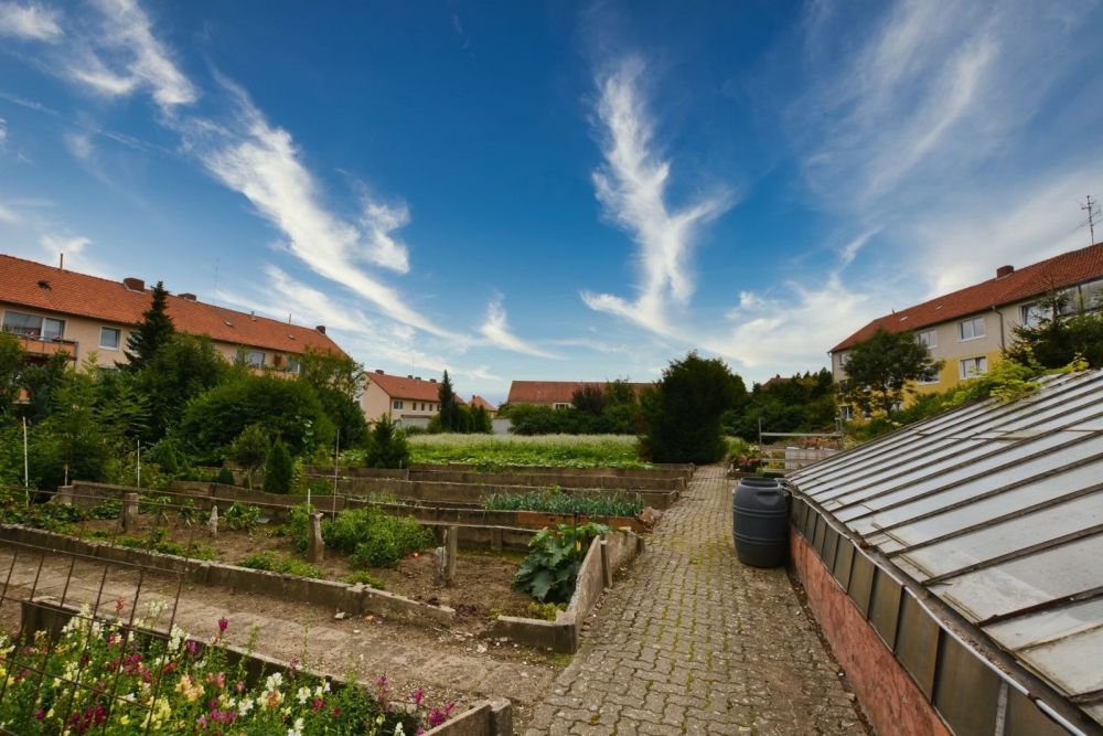 Blick in den Hof