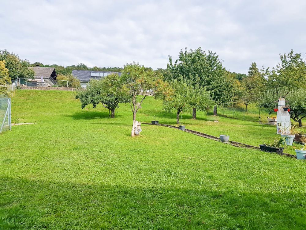 Haus, Scheune, viel Grundstück, Platz, Ruhe, Burgblick... Ist hier in Breuberg alles zu haben!