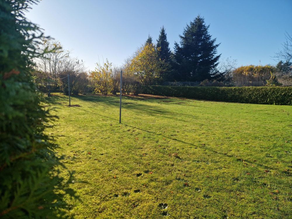 Wunderschöner Garten umrahmt von Grün