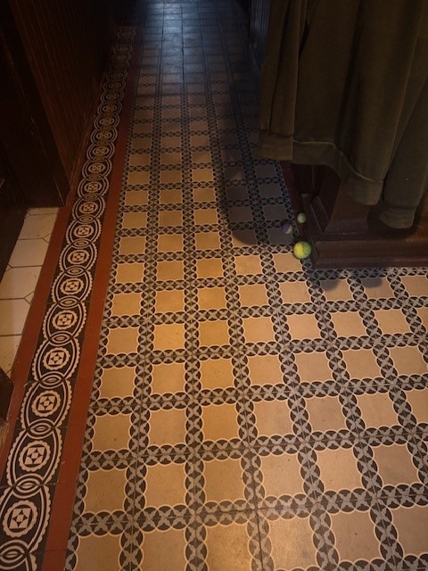 So könnte Ihr neues Zuhause aussehen!