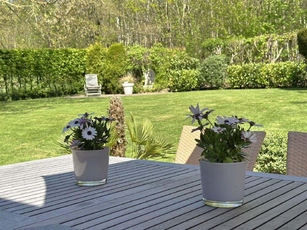 / Architektonisches Highlight in Waldrandlage!